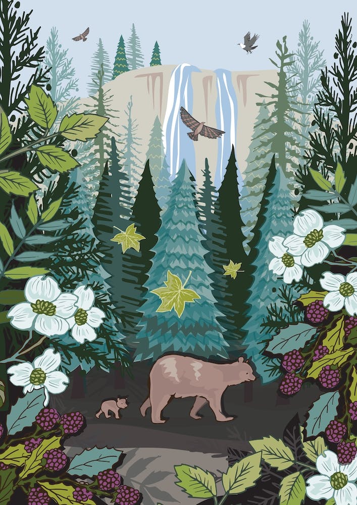 Little Bear Behind