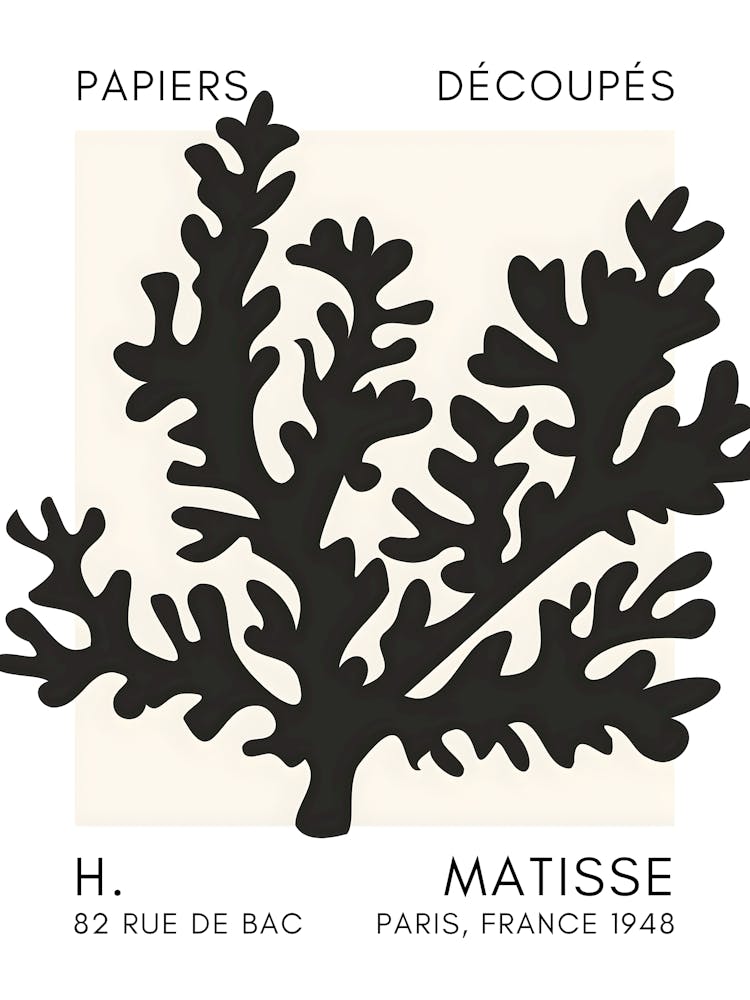 H Matisse 50
