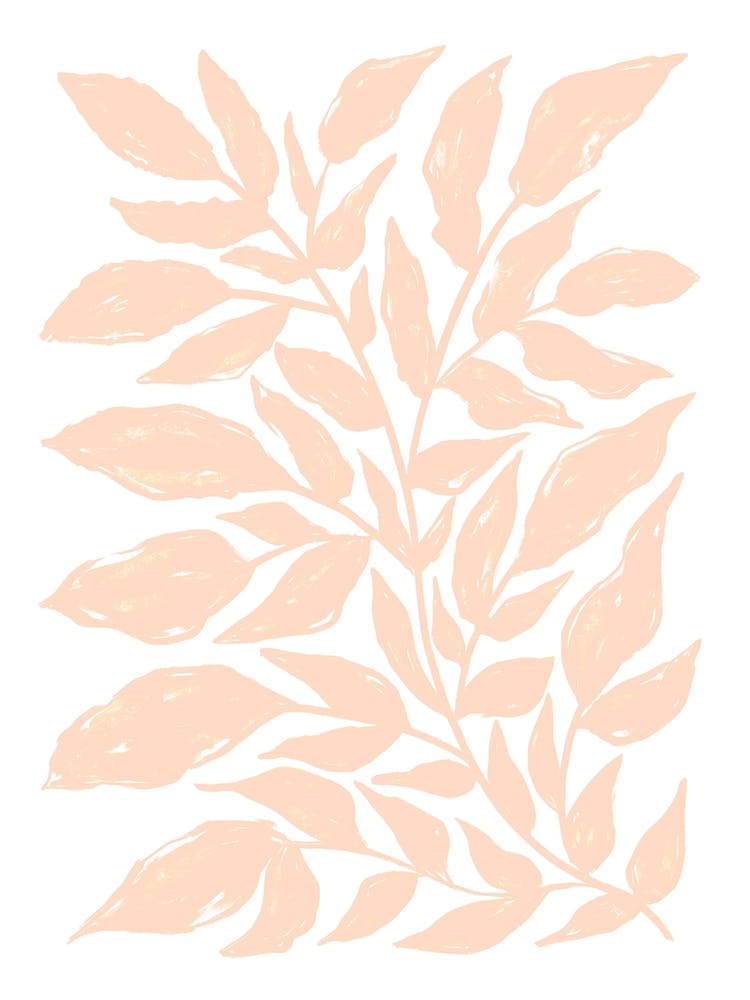 Peach Plant