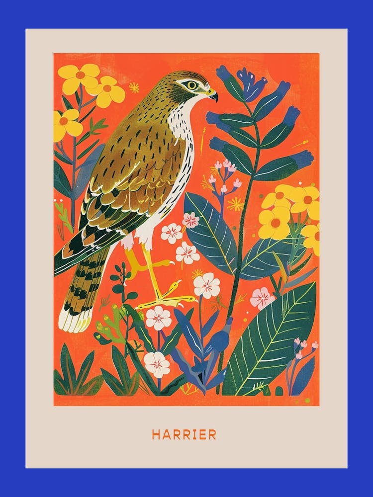 Spring Birds Poster Harrier 2