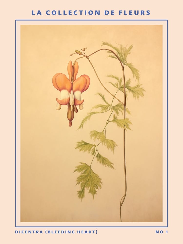 Dicentra (Bleeding Heart) French Flower Botanical Poster
