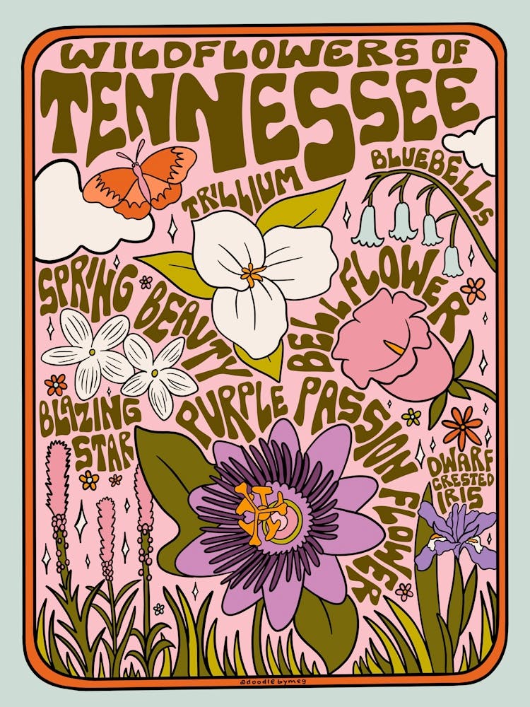 Tennessee Wildflowers