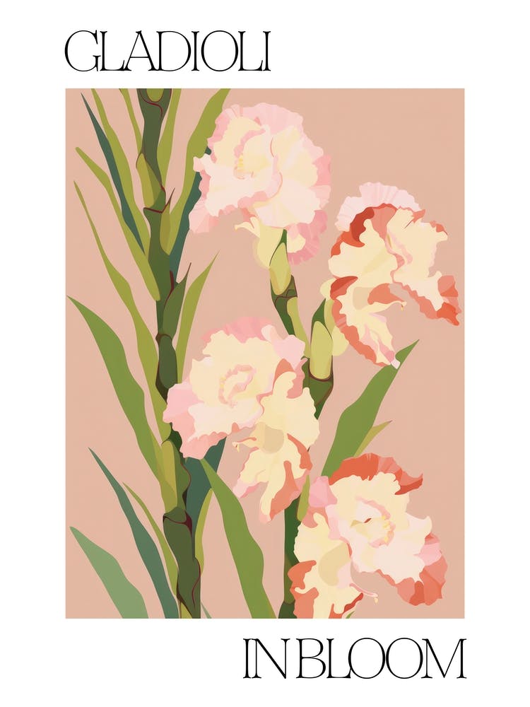 Gladioli In Bloom Flowers Bold Illustration 1