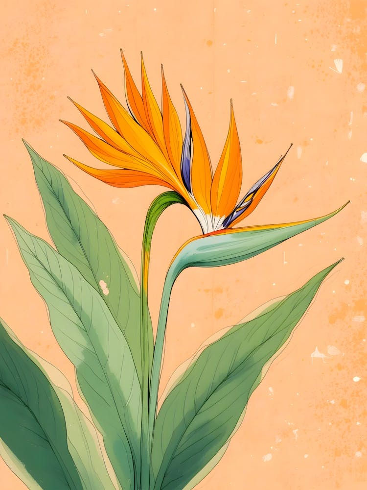 Peach Background Botanical