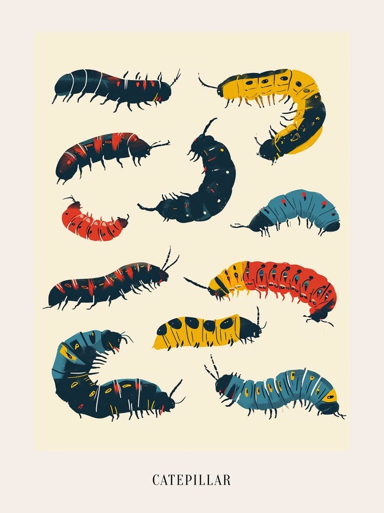 Colourful Insect Illustration Catepillar 11 Poster