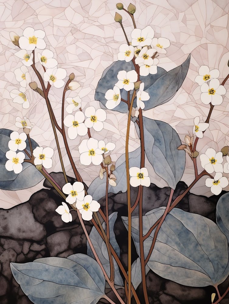 Illustration de Fleur - Myosotis 3