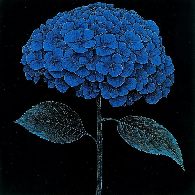 Blue Hydrangea Art 2