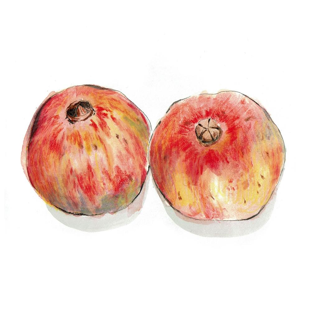 Two Pomegranates