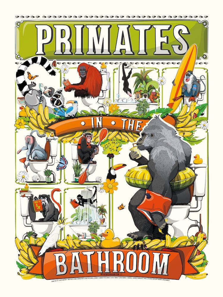 Primates In The Bathroom