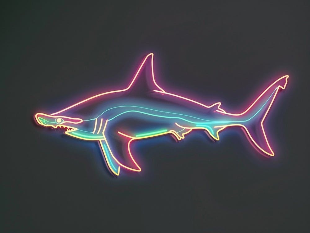 Aqua Hammerhead Shark 2