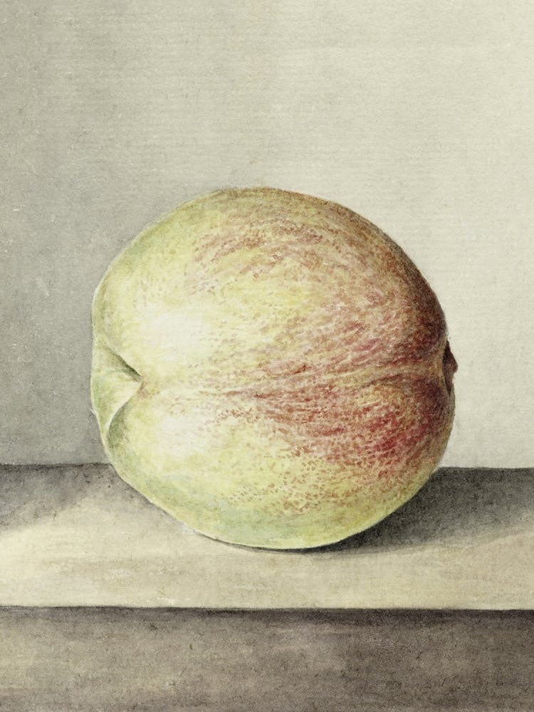 Peach, Jean Bernard