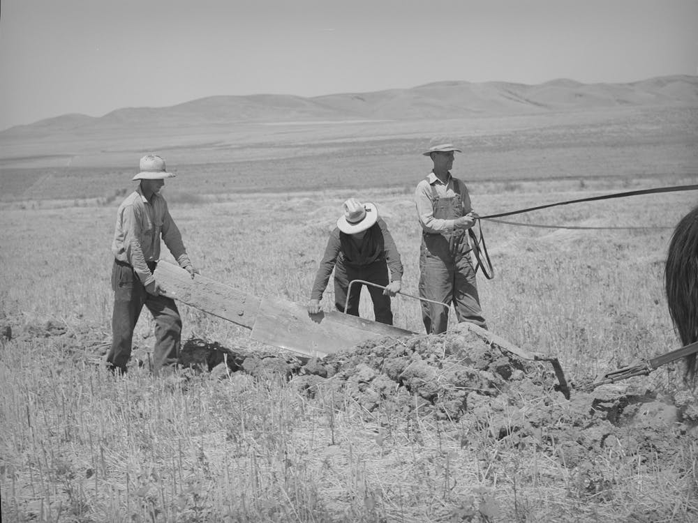 Untitled Photo, Possibly Related To Members Of The Fsa (Farm Security Administration) Cooperative Ditcher