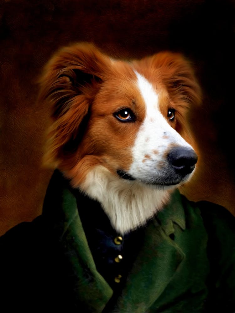 Loyal Hunter Bibi The Dog Pet Portraits