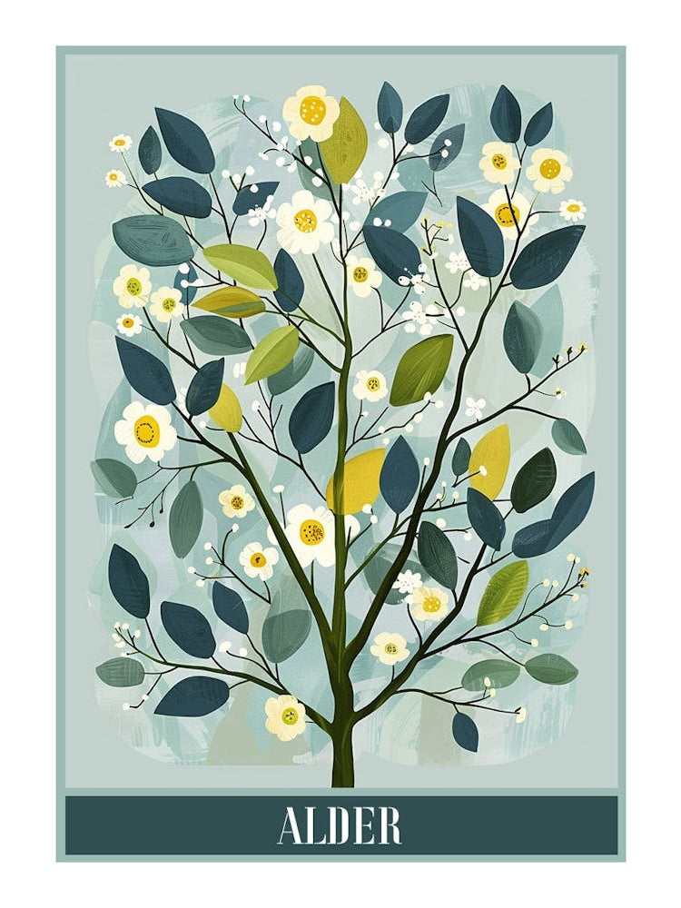 Alder Tree Flat Illustration 1 Poster