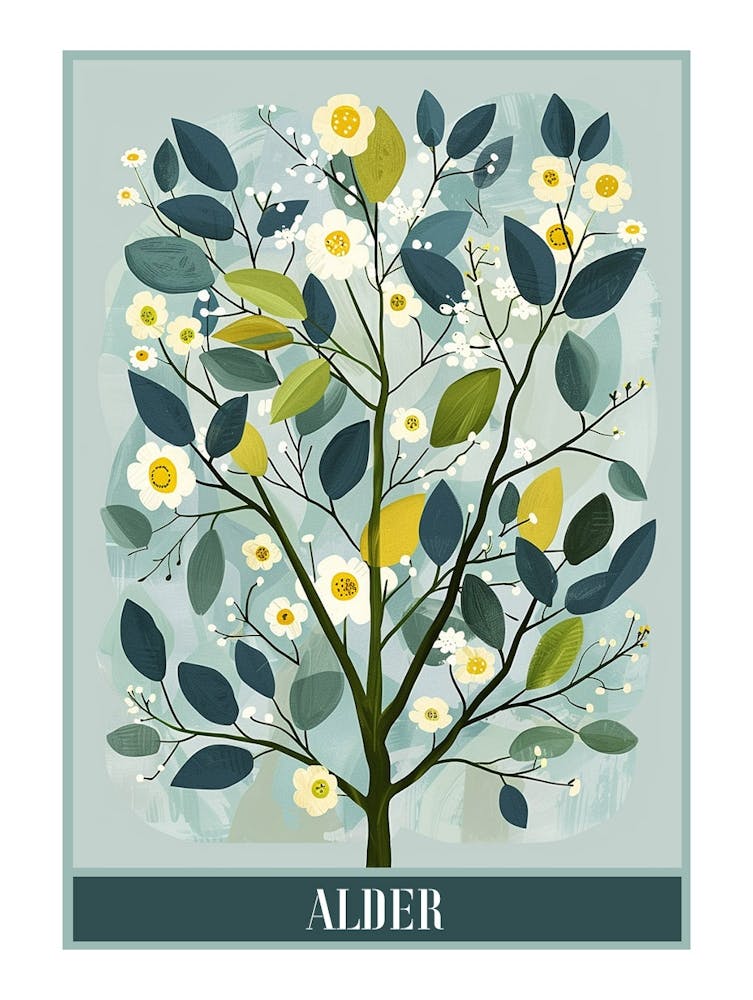 Alder Tree Flat Illustration 1 Poster