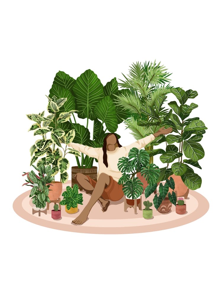 Cora The Plant Lover