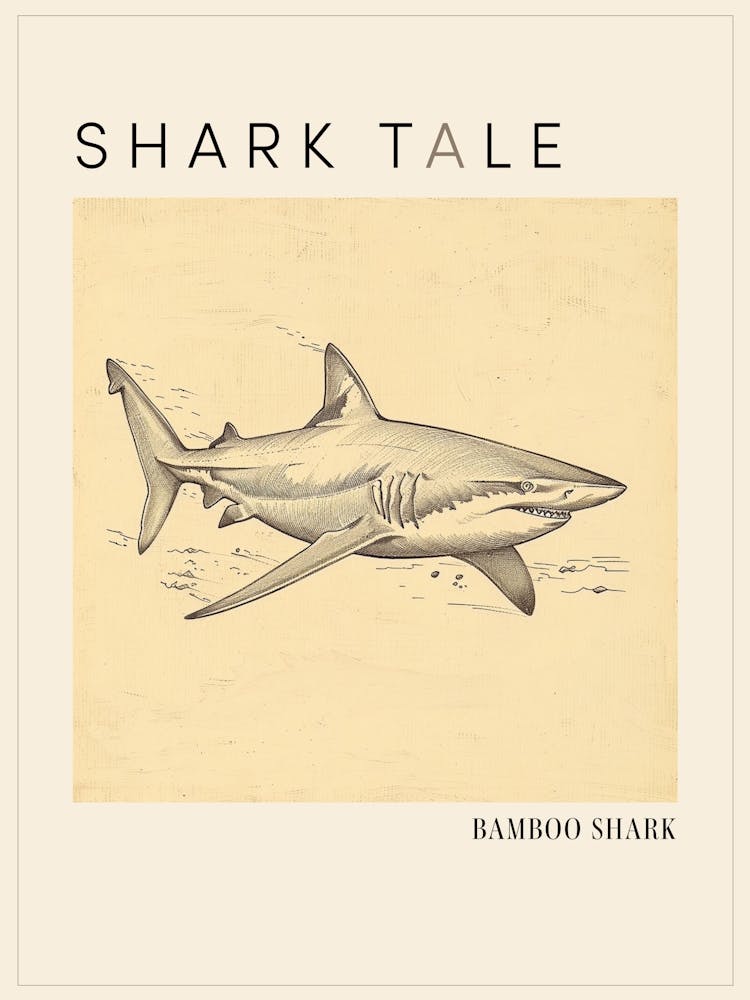 Requin Bambou Illustration Vintage 3 Affiche