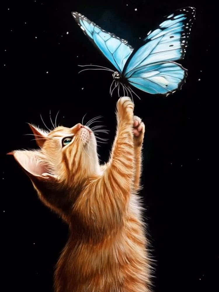 Butterfly Cat