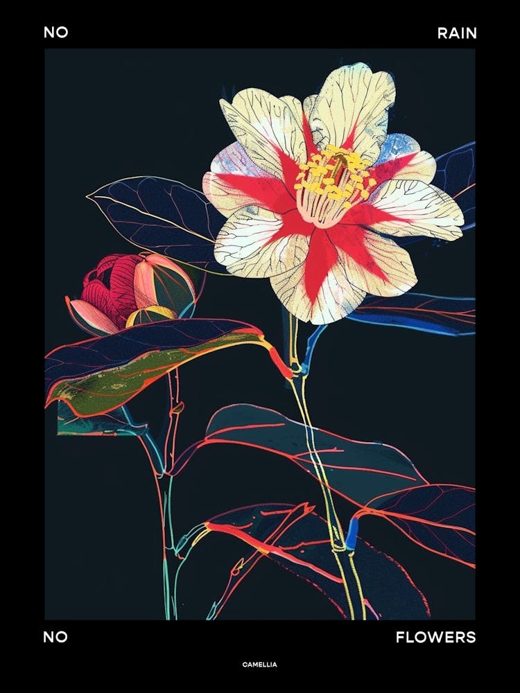 No Rain No Flowers Poster Camellia 3