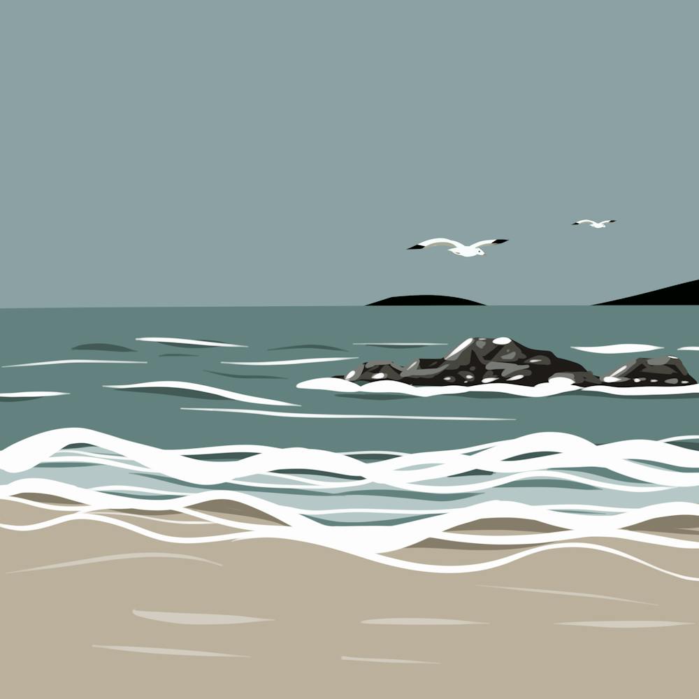 Mouettes Sur La Plage 2
