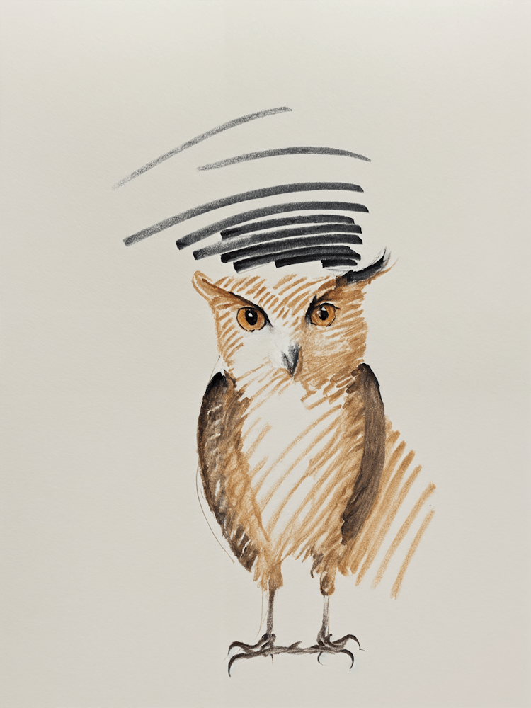 Owl Sketch no1