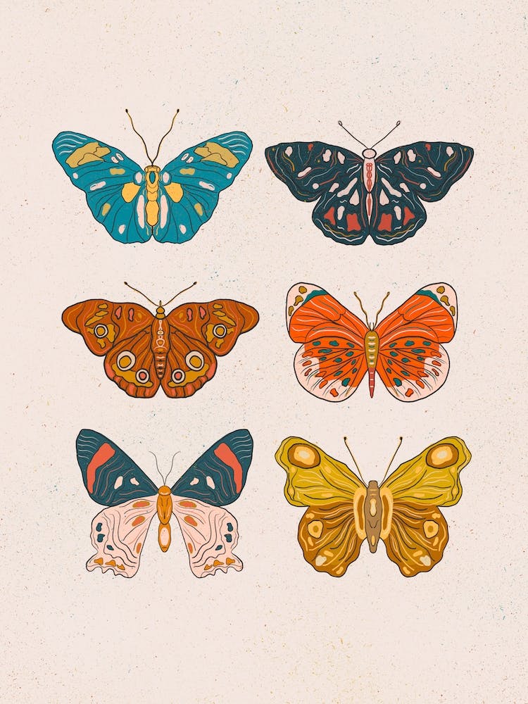 Butterfly