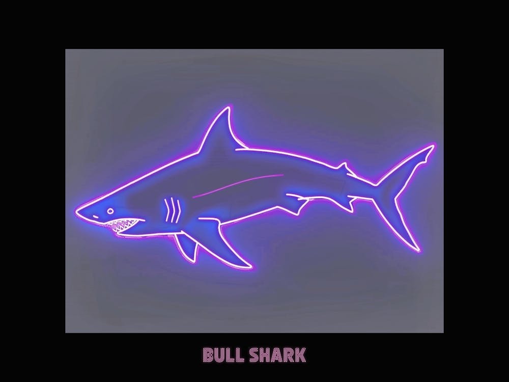 Neon Pink Purple Bull Shark Poster 5