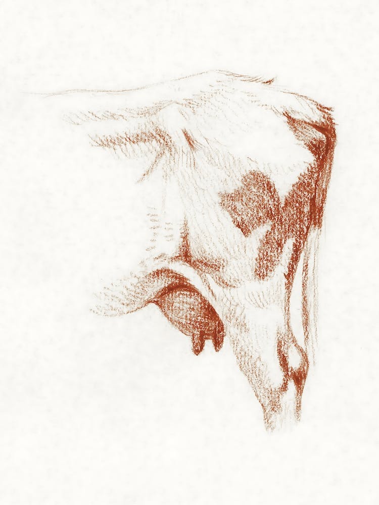 Back Legs Of A Cow 1, Jean Bernard