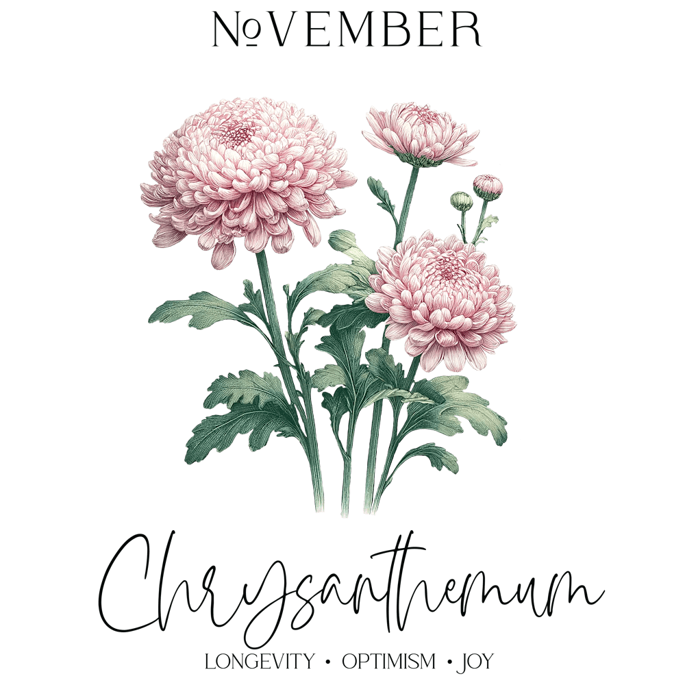 Chrysanthemum November Birthday