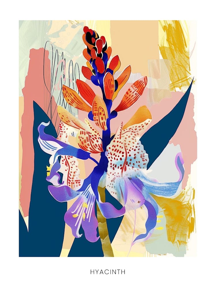 Colourful Flower Illustration Poster Hyacinth 1