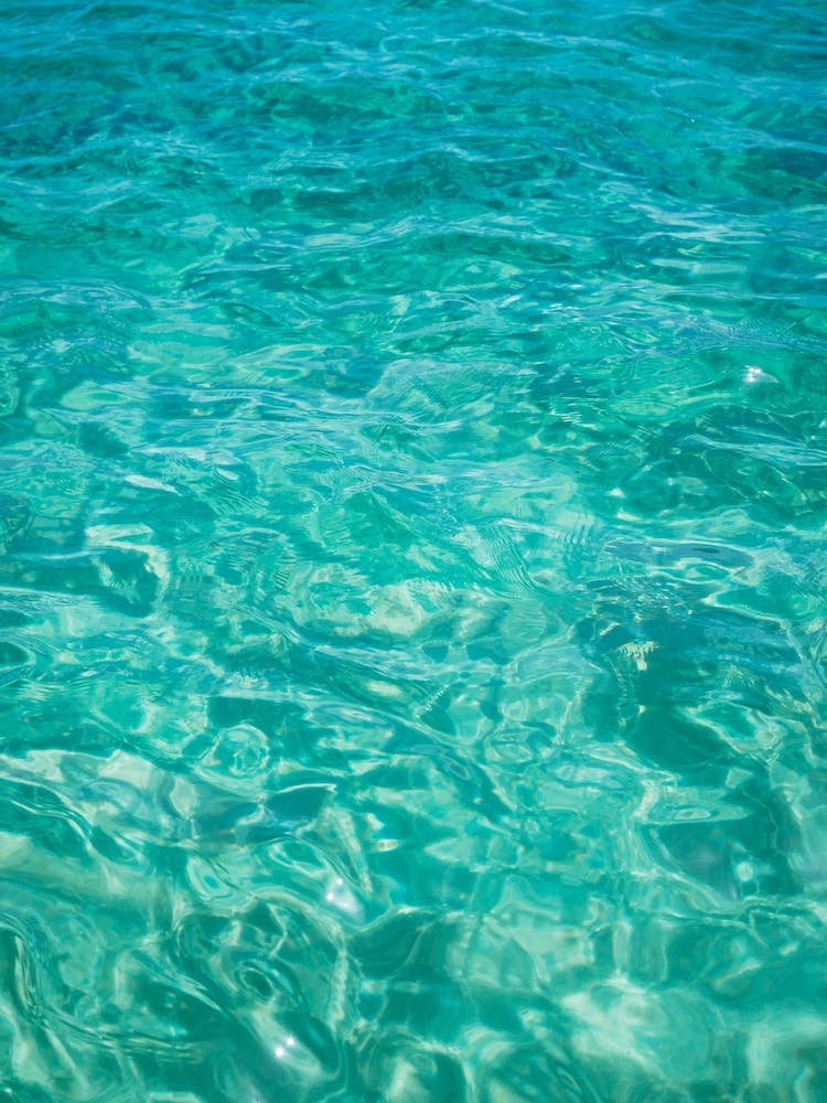 Cabo Water