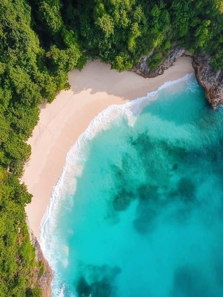 Aerial View Of A Tropical Beach 1