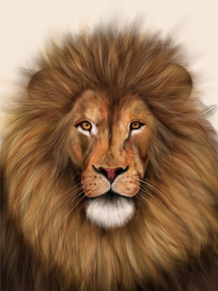 Colour Lion Portrait