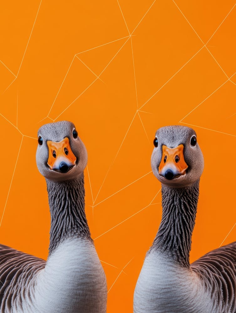 Geese 1