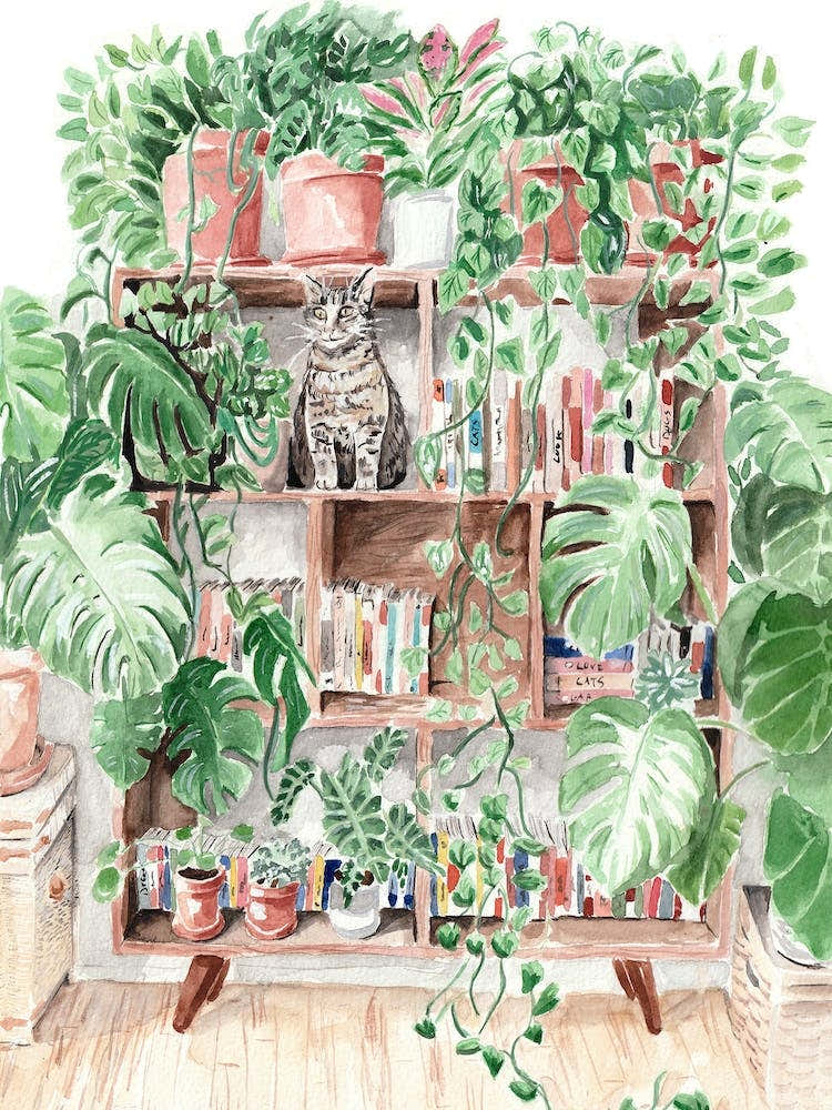 Cat Books And Plants