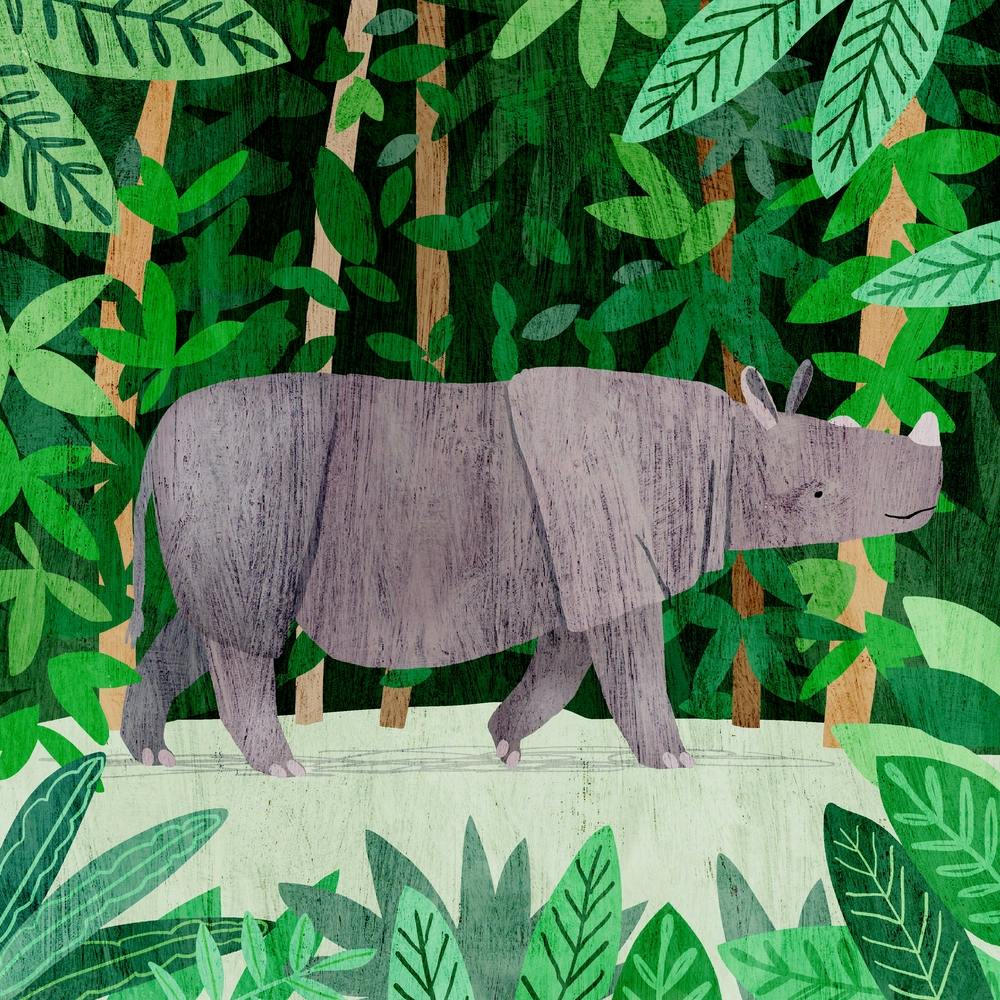 Sumatran Rhino Square