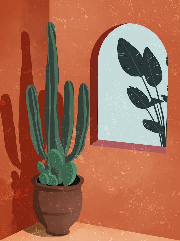 Cactus 6