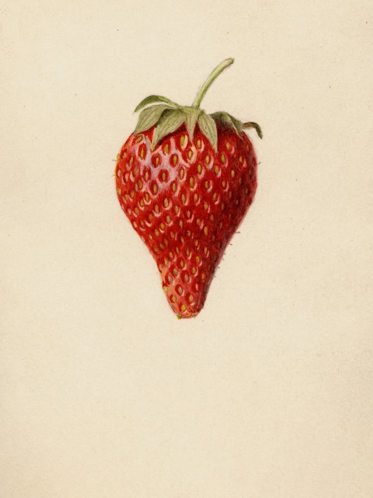 Strawberry 2