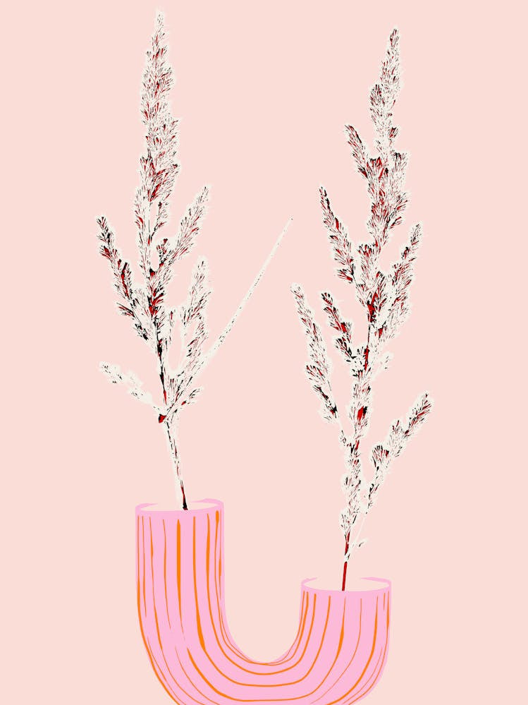 Plant based happyness Grasses 1 still life