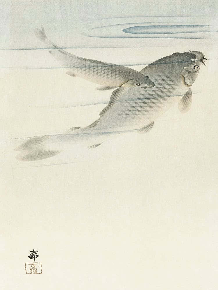 Carp (1900 1936), Ohara Koson