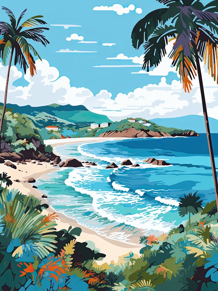 Anse De Grande, Salin, St Barts, Matisse And Rousseau Style 1