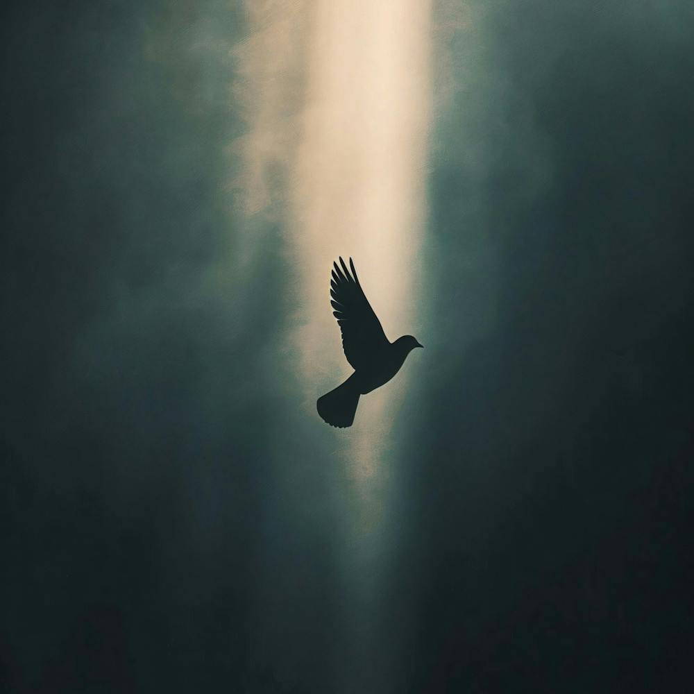 Silhouette Of A Dove Flying