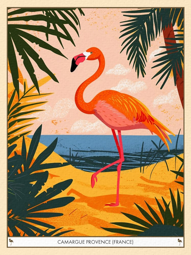 Greater Flamingo Camargue Provence France Tropical Illustration 3 Poster
