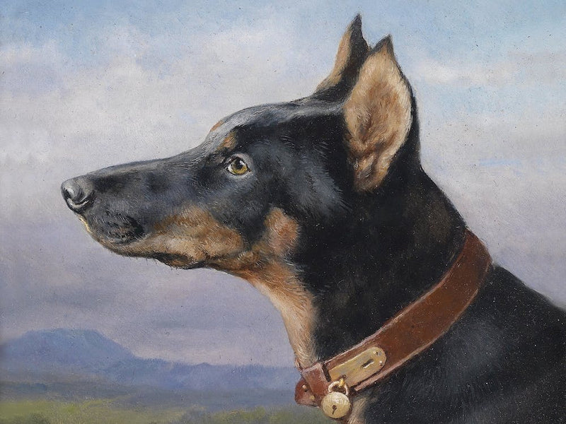 Portrait Of A Dobermann, Carl Reichert