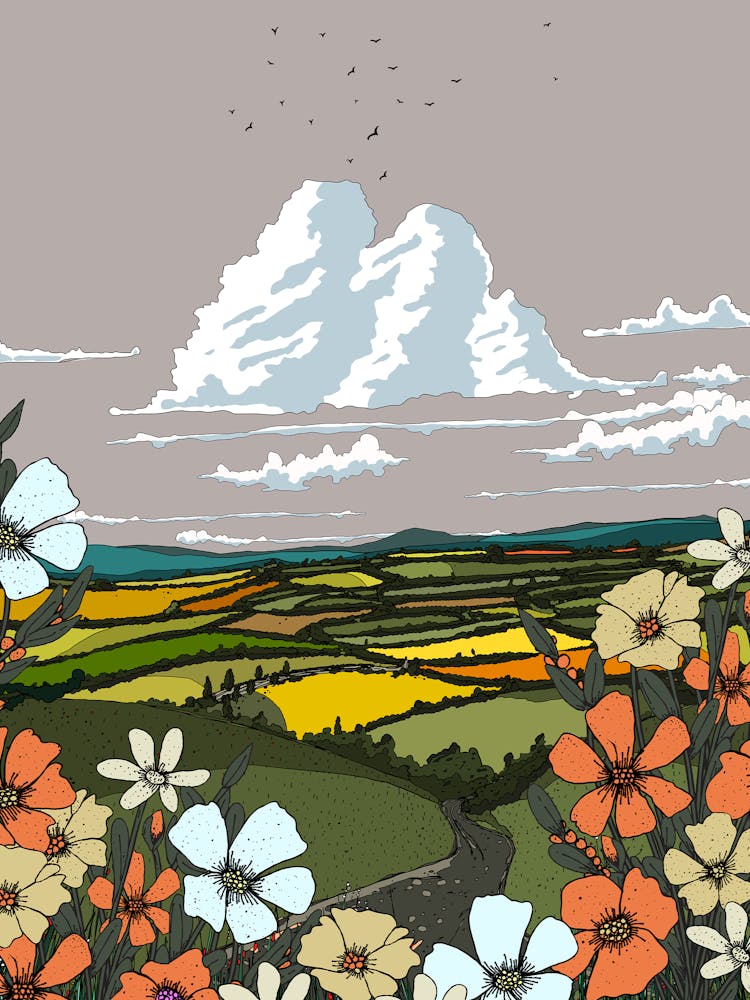 Field Of Flowers 1