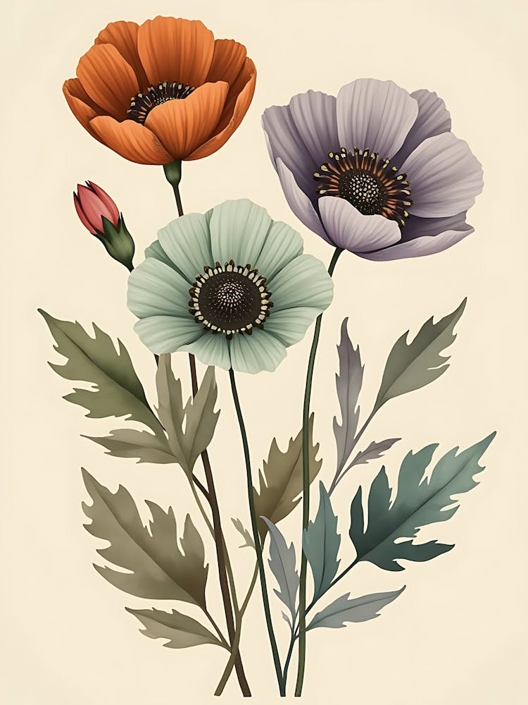 Delicate Flower Line Art | Contemporary Botanical Illustrations