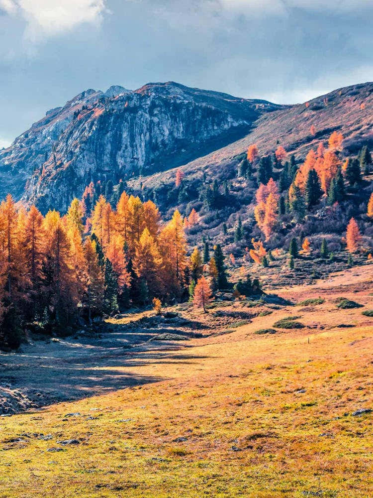 Autumn In The Alps 2