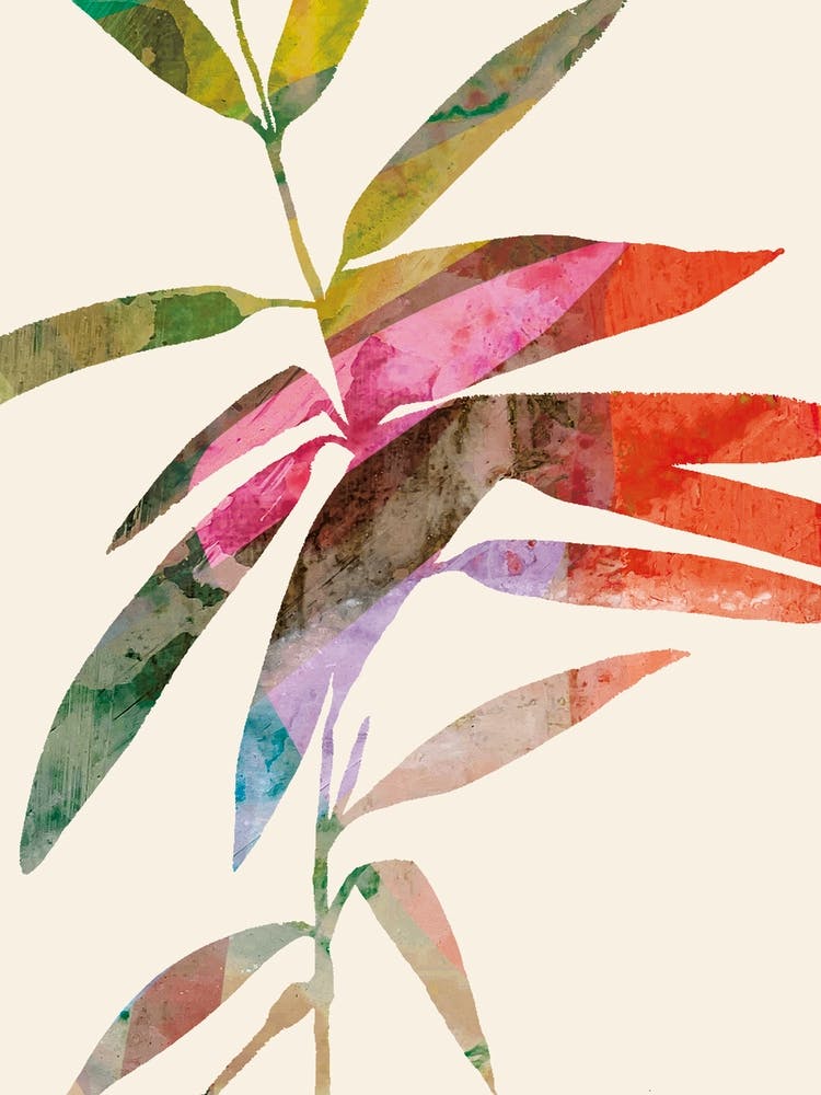 Aquarelle D'Une Plante
