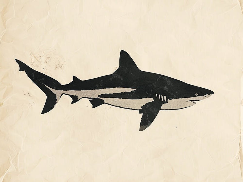 Goblin Shark Silhouette 6