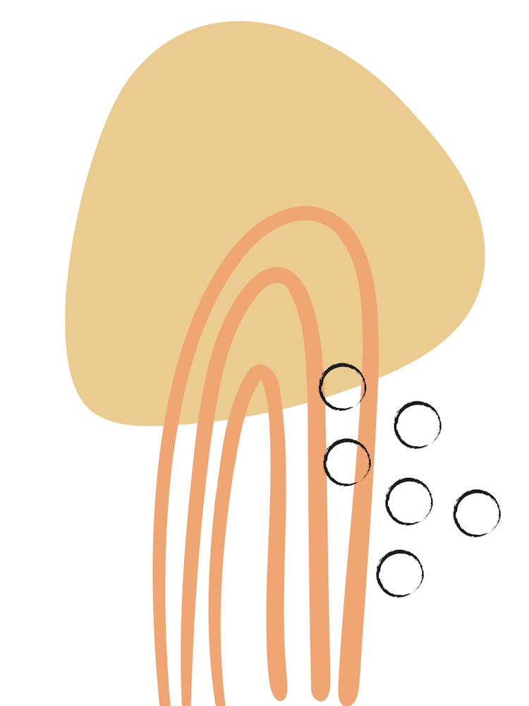 Jellyfish